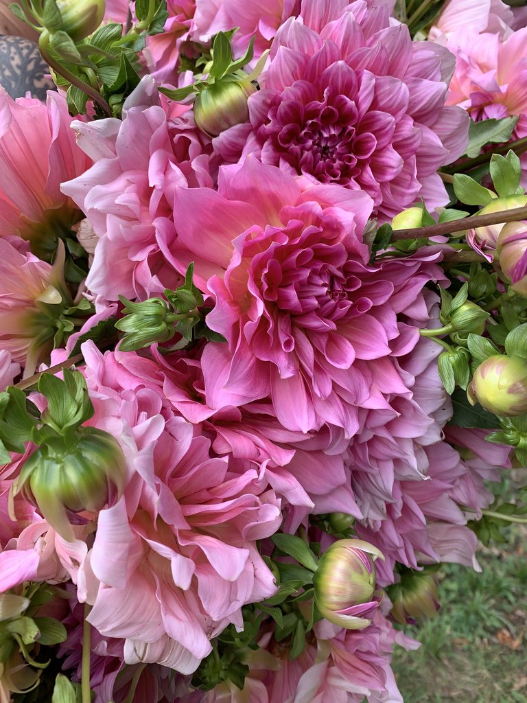 otto_3b2d6c45-a7ae-4796-876d-57476e19f3a8_1024x1024