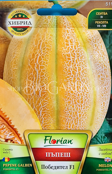 пъпеш победител